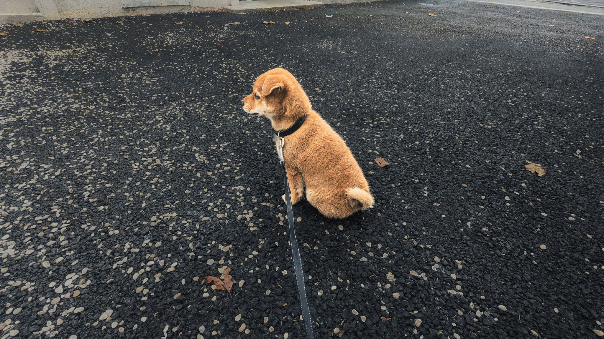 Biwa – Day 3